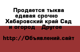 Продается тыква едавая срочно - Хабаровский край Сад и огород » Другое   